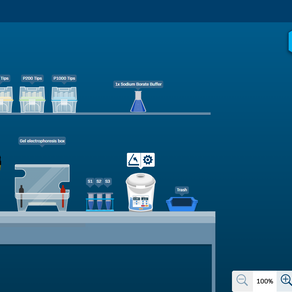 Interagir Com Ciências