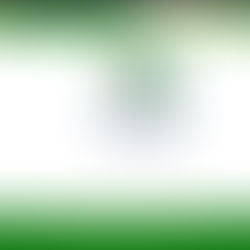 Você conhece o Brasil?