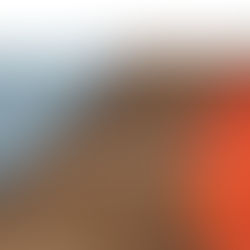 Universidade Webinar