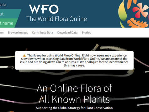 Enciclopédia Mundial Das Plantas