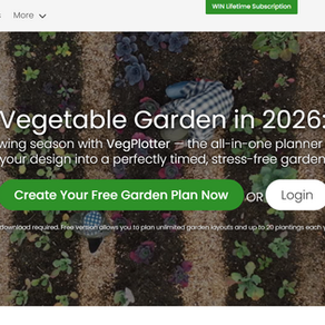 Planejamento De Hortas E Jardins