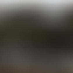 Jornalismo Investigativo