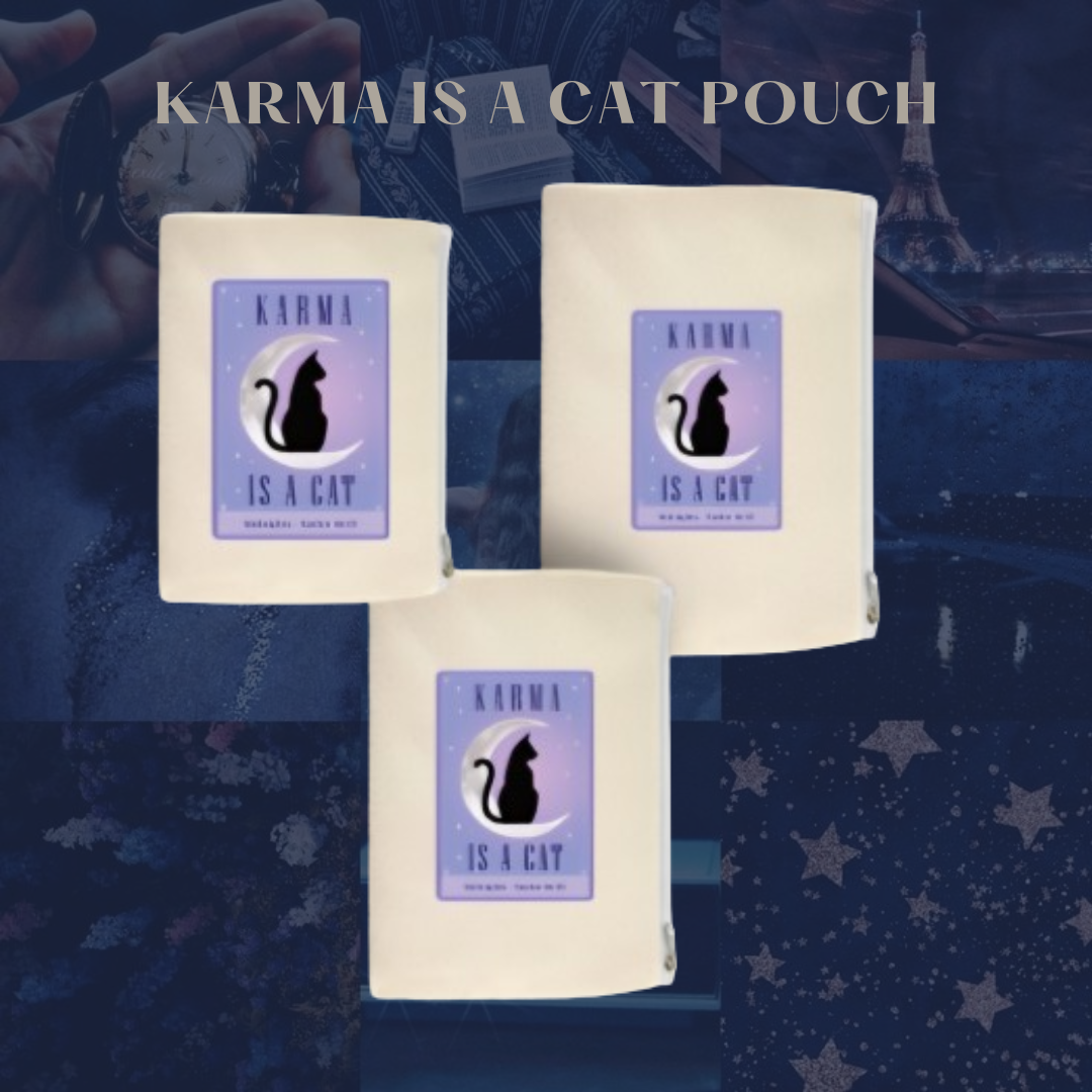 Taylor Swift - Karma is cat pouch