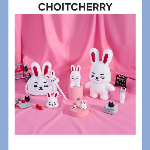 SEVENTEEN PLUSH TOY | KPOPINDIAMERCH