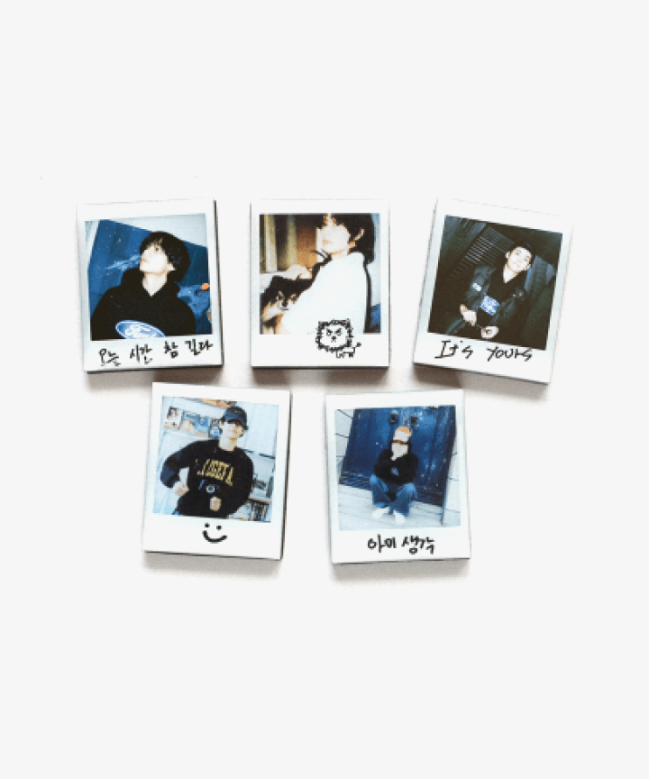 V layover merch - Magnet Set(S)