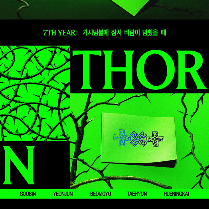 Thumbnail: TXT 7TH YEAR: A Moment of Stillness in the Thorns (THORN Ver.) Set ver