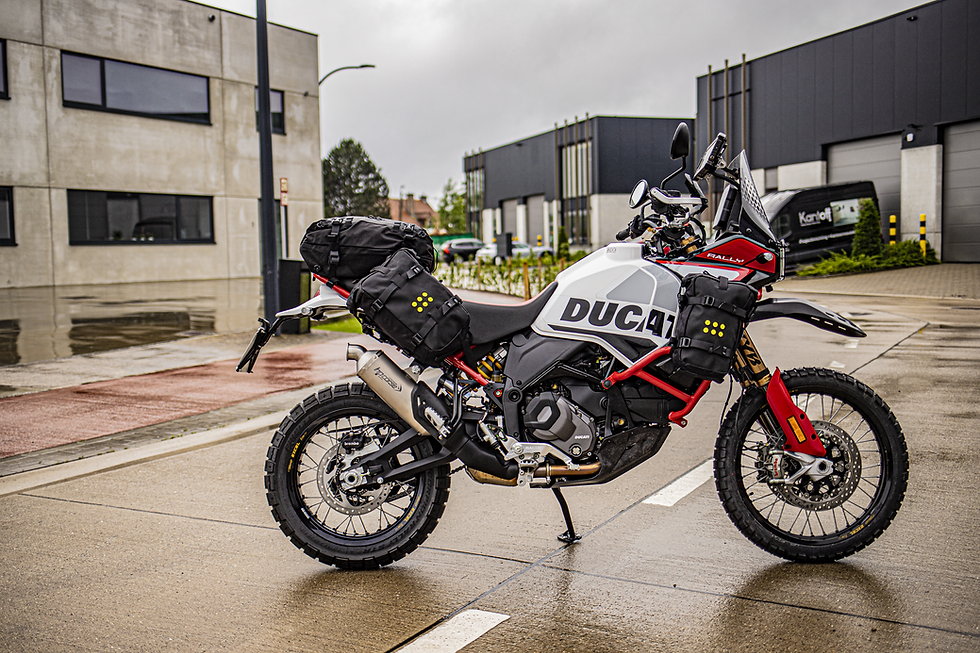 duc6.png