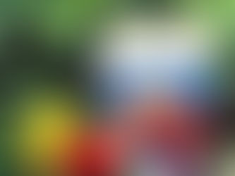 La femme aux cheveux roux de Orhan Pamuk