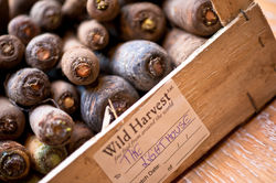 Lighthouse1FIN (83 of 108)