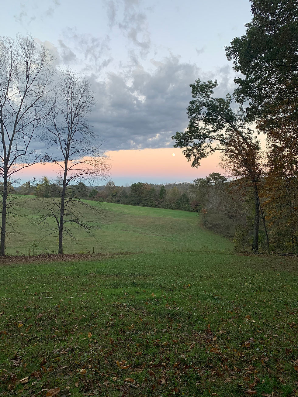 Sunset on the Farm