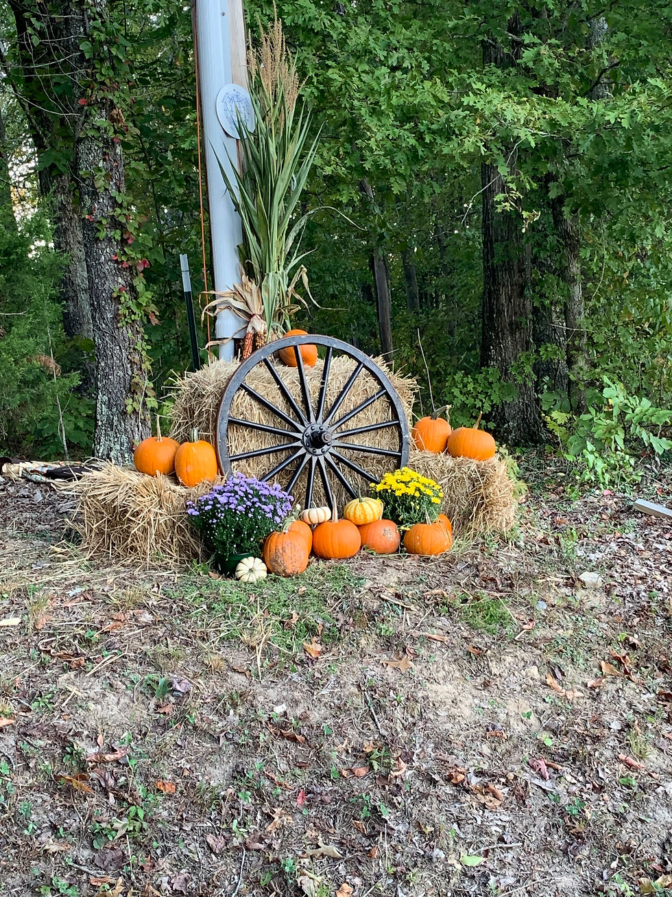 Fall Display