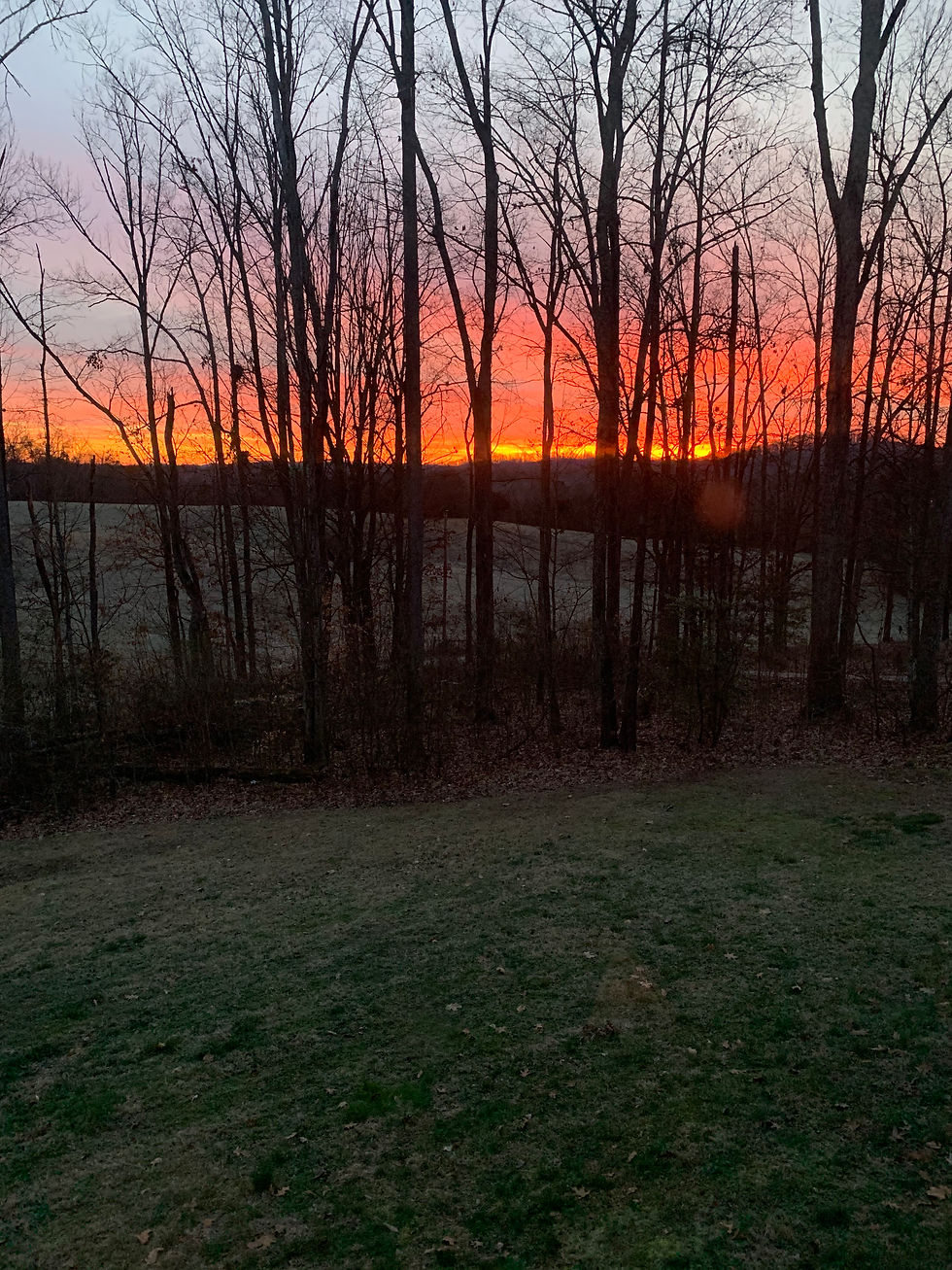 Sunrise on Joyful Oaks Farm