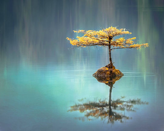 Le dépouillement spirituel engendre la délivrance.
