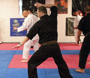 What Makes Karate Different From Other Martial Arts?