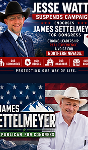 JesseWatts-Website-Suspends.png