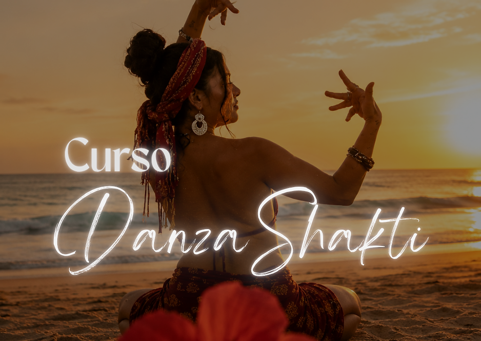 DANZA SHAKTI-6.png