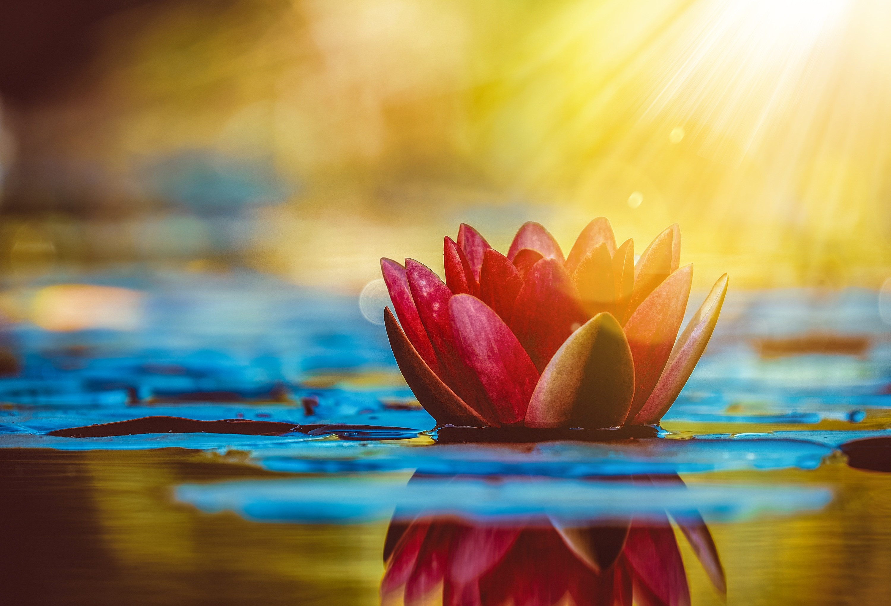 Soul frequency song healing Chakras Soul Frequency