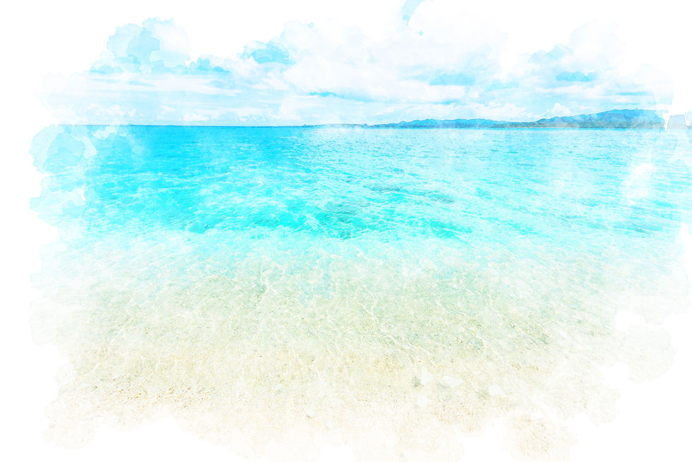 海