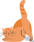 猫