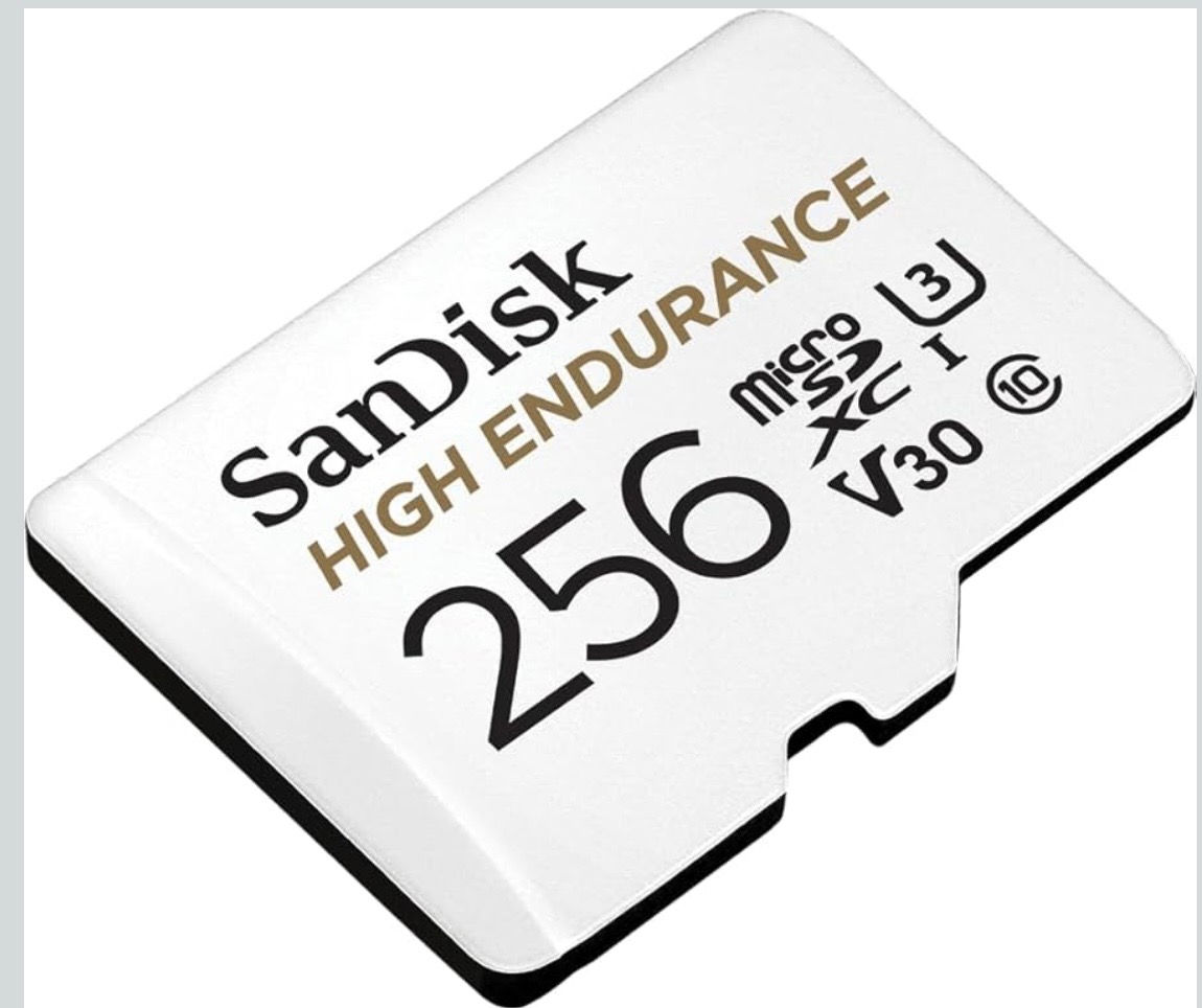 SanDisk HIGH Endurance 256GB 