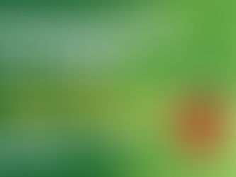 Plant Growing with Words "Photosynthesis of stress: How trauma hijacks leadership and how to regrow resilience."