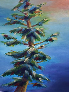 Connie Delcourt