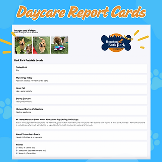 Report Cards (1).png