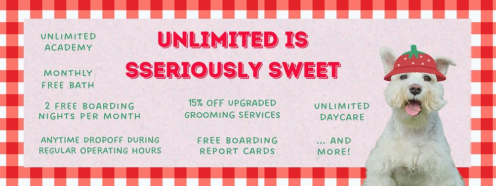 Dog with a strawberry hat on a red checkered background. Text: "Unlimited is Sseriously Sweet," listing perks of unlimited program.