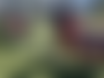 🎉 10 Years of Tail Wags & Treats: A Spooktacular Howl-O-Ween Anniversary Bash!