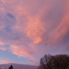 Castle Howard 2022-19.jpg