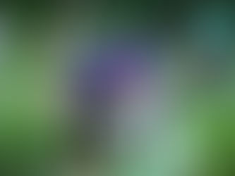 Spring 2025 Update