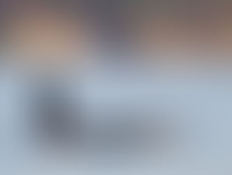 Op zoek naar orka's in het westen van Canada