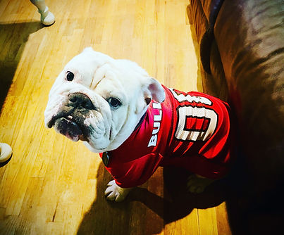 DOC JERSEY.jpg