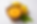shutterstock_616521683.png