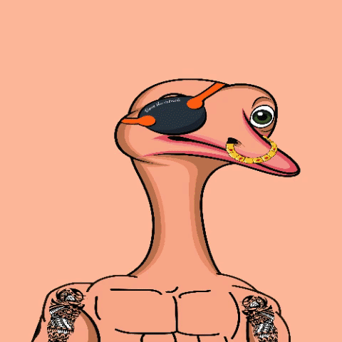 finaly_1_giff.gif