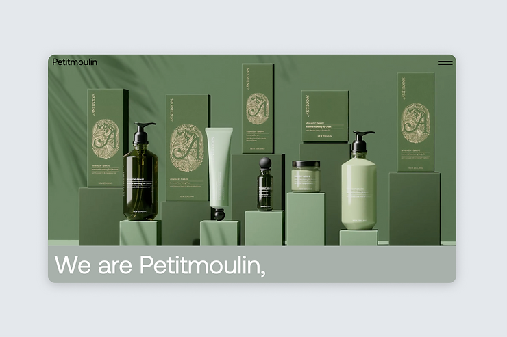 A screenshot of the Petitmoulin homepage. 