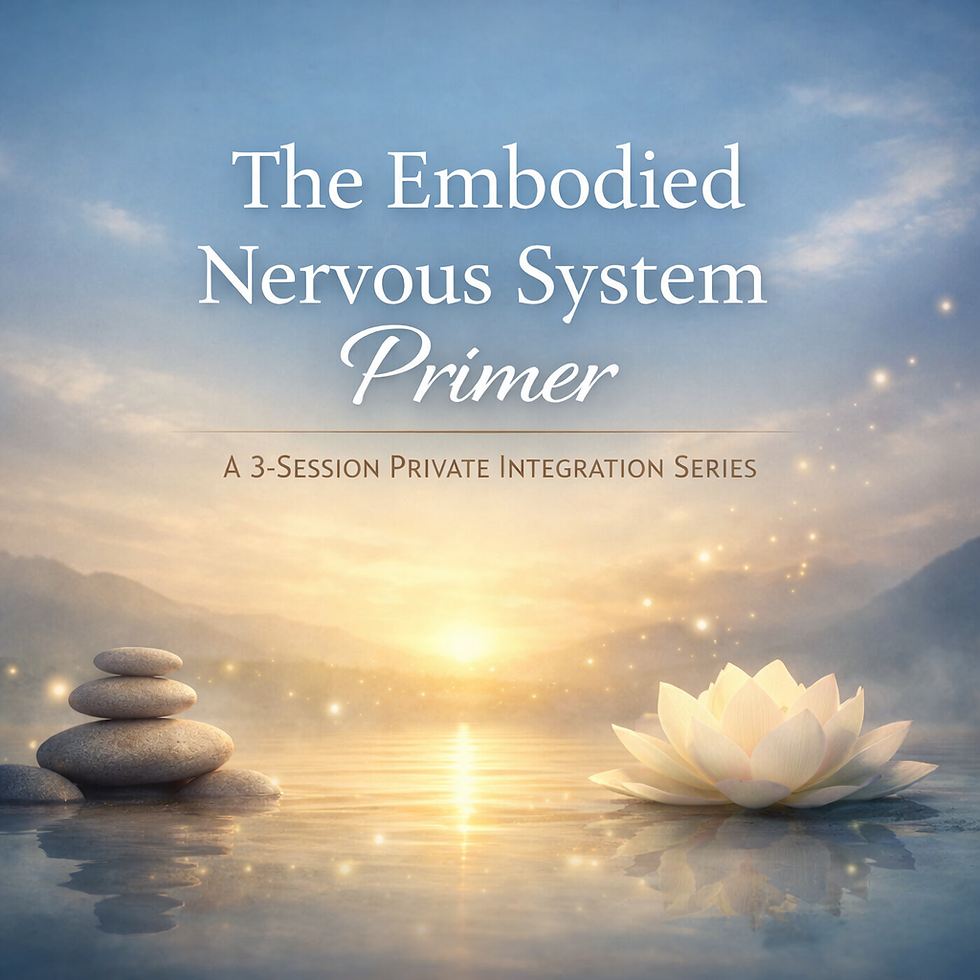 the embodied NS primer session series.png