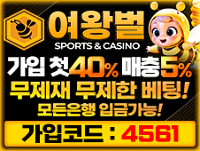 먹튀사이트 먹튀검증 메이저사이트 여왕벌 토토