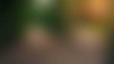 CHAPTER SIX: Adversity