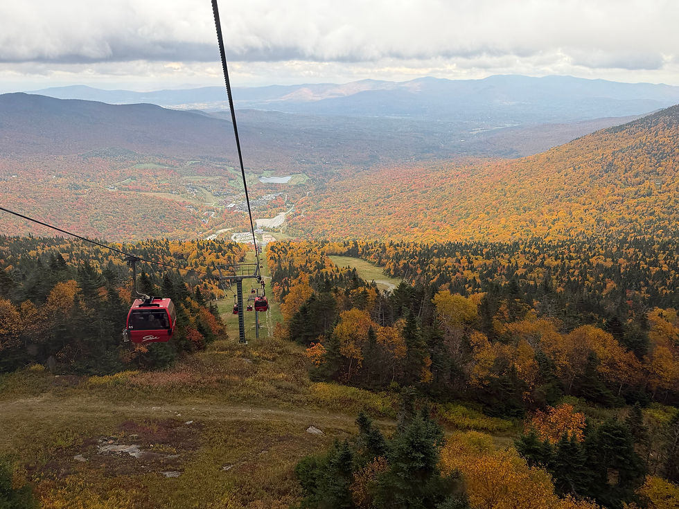 The top of a mountain looking out to a bunch of colorful leaves in vermont