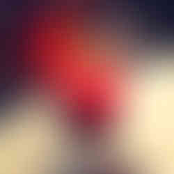 WhatsApp Image 2024-03-21 at 22.47.34