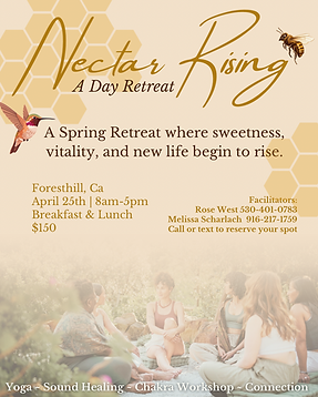 Yellow Brown Modern Elegant Honey Skincare Instagram Post.PNG