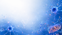 ChatGPT Image Sep 4, 2026, 08_23_05 AM.png