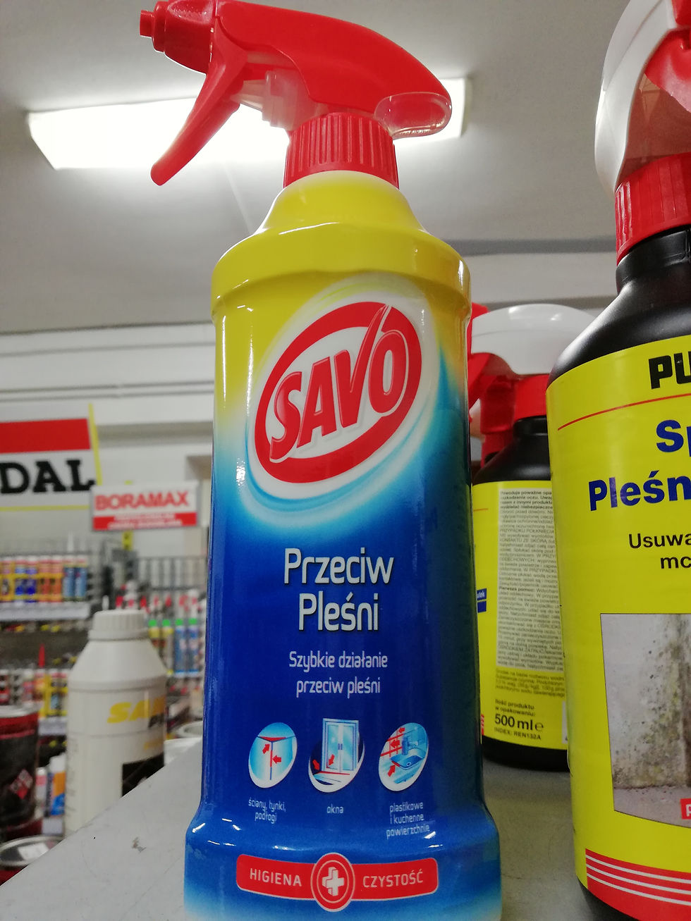 Savo