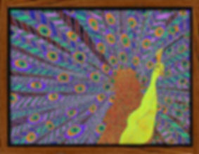 Peacock