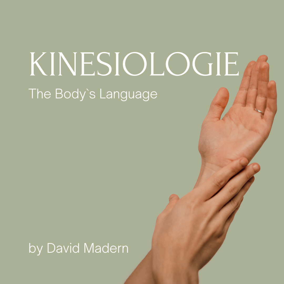 David Madern Kinesiologie