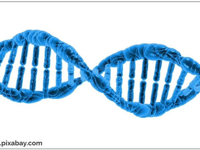 eDNA (environmental DNA): The Genetic Footprint in Our Environment"