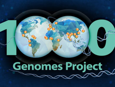 The 1000 Genomes Project: A Global Journey into Human Genetic Variation