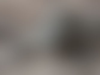 Exploring the Medical Potential of Antimicrobial Peptides from Komodo Dragon Blood