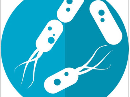 Surviving the Antarctic Chill: How Microbes Help Marine Worms Thrive in Freezing Conditions